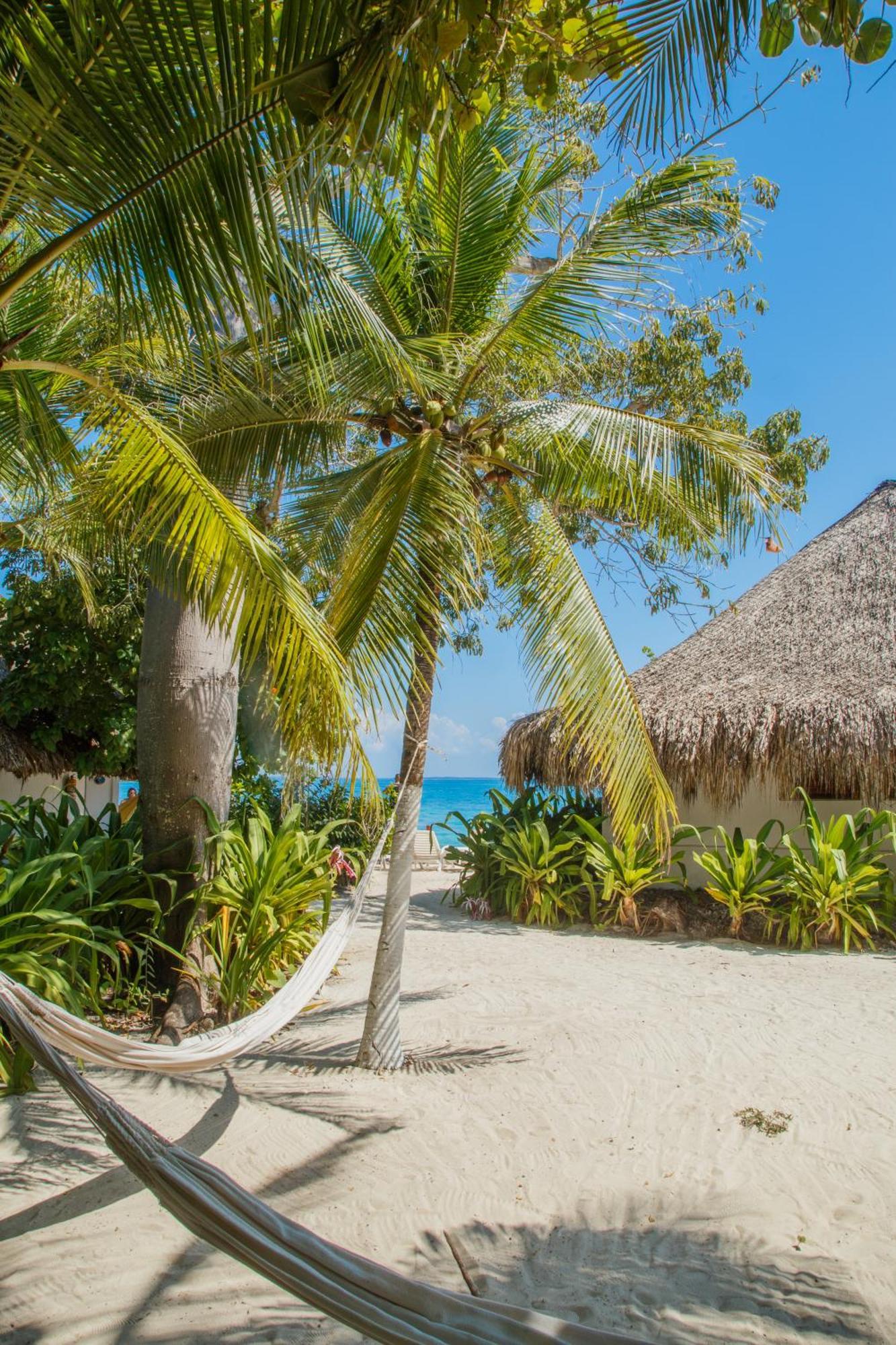 Hotel Isla Del Pirata Isla Grande  Luaran gambar